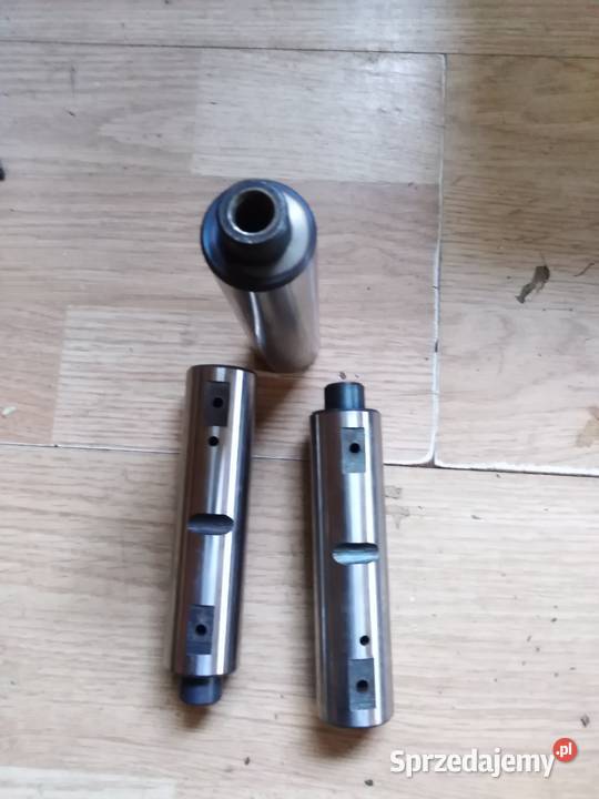 SWORZEŃ ZWROTNICY RAK 220051072