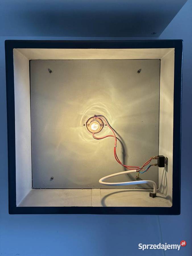 Test Wortha do dali wersja retro unikat pomorskie Banino