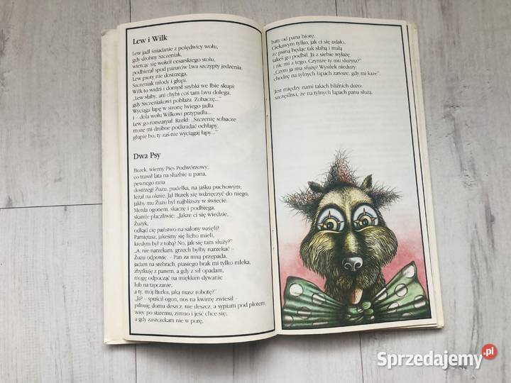 Książka Bajki Iwan Kryłow Łódź