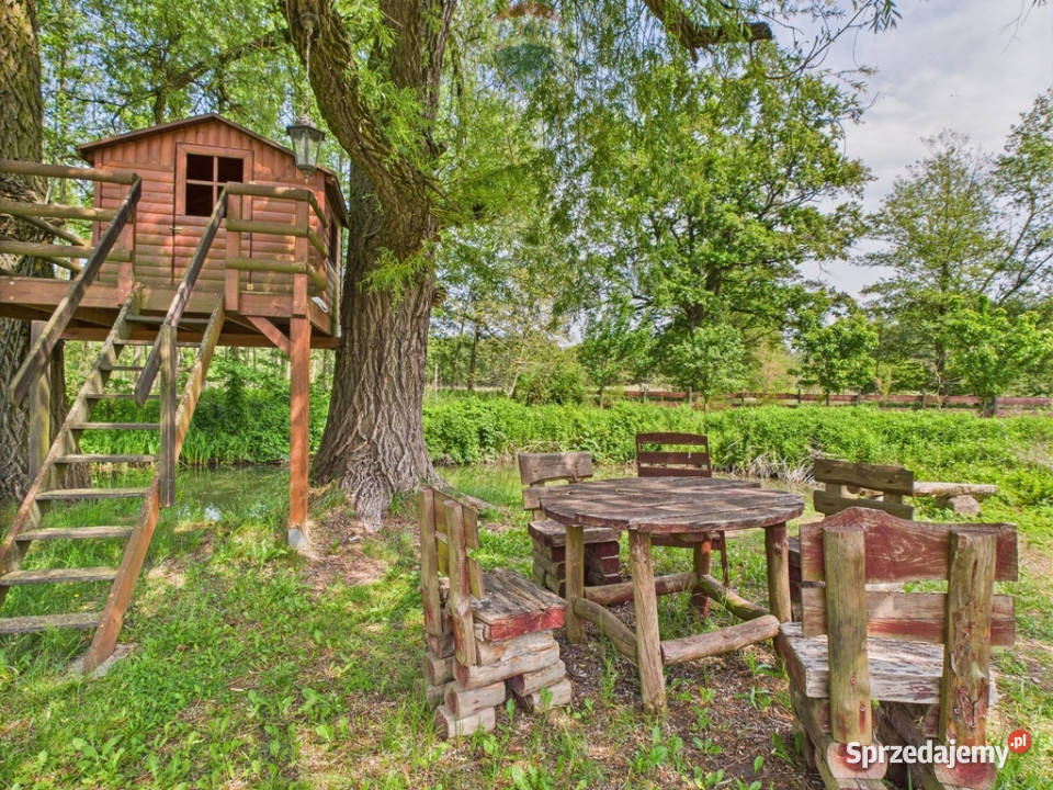 Ranczo w lesie z wyspą stawem basenem stajnią 10911m2 Sprzedaż