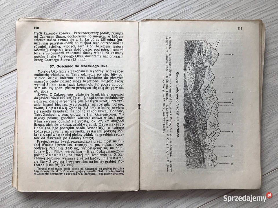 PRZEWODNIK TATRACH I ZAKOPANEM MŚwierz 1927 Rok wydania 1927 Kielce