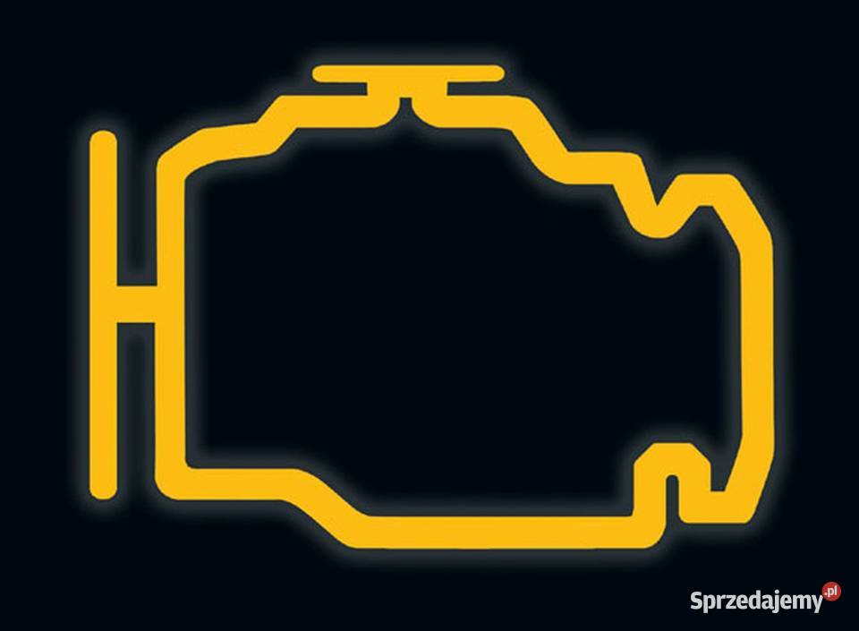 Programowanie DPF EGR Adblue Klapy Off Kodowanie