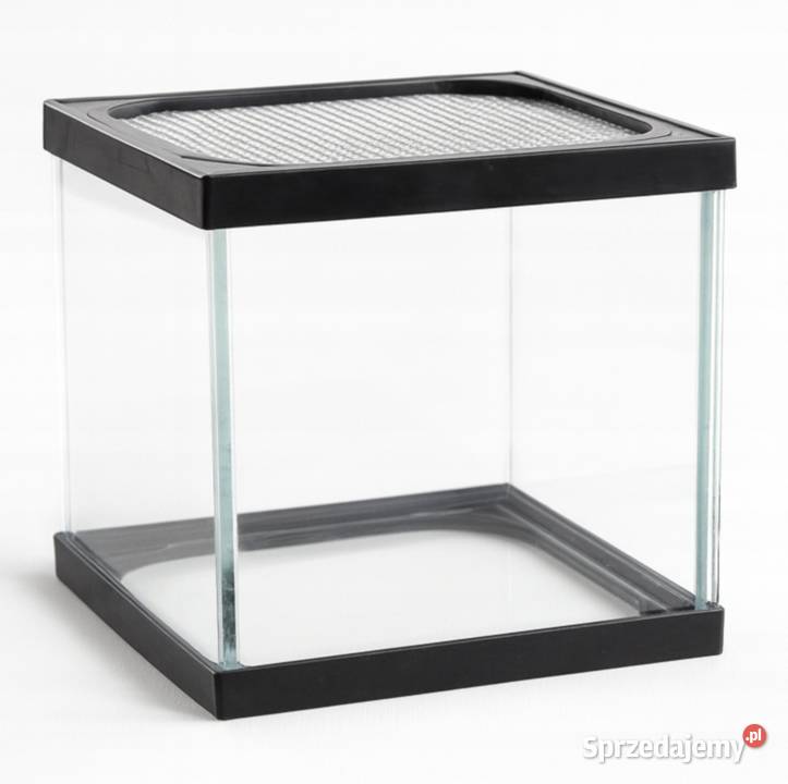 TRANSGLASS TERRARIUM 12X115X115 PRODUCENT Terrarystyka Dąbrowa Górnicza