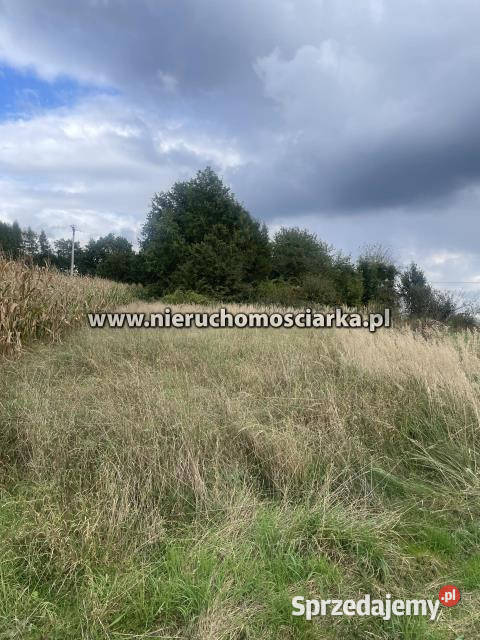 Działka 9230m2 Syrynia 480m