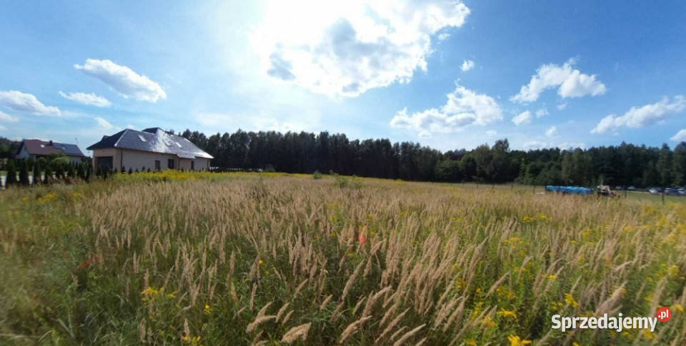 malownicza dzialka w miescie Twardogóra sprzedam