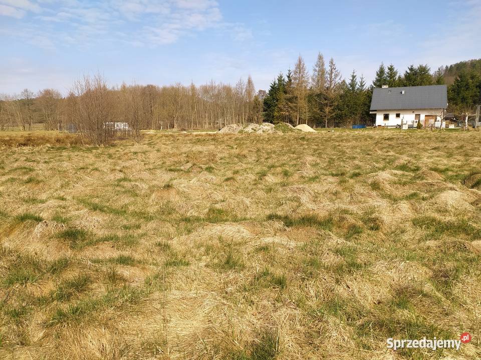 Działka z warunkami zabudowy Chmieleniec sprzedam