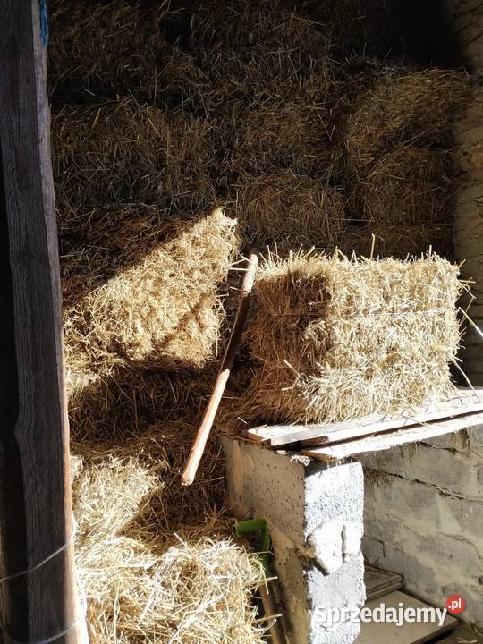 Słoma pszenżytnia Żarki