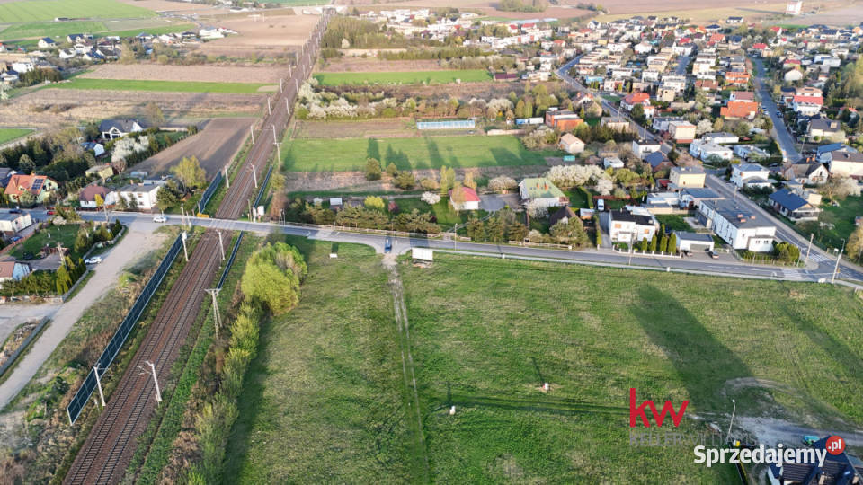 sprzedaży działki 1500m2 Września Kosynierów