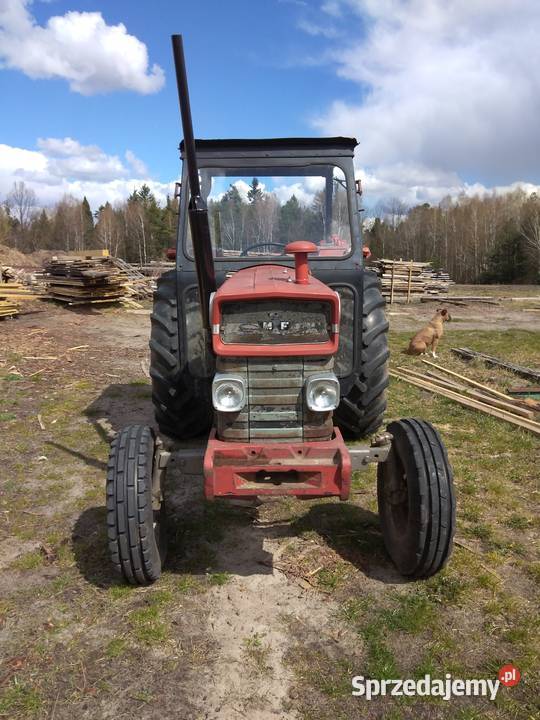 Massey Ferguson 168 Stary Lipowiec