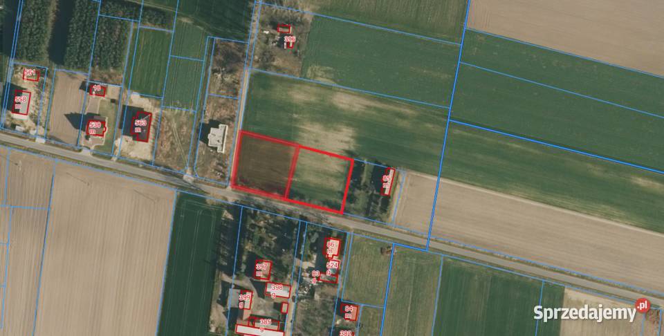 Działki budowlane 16 arów Dęby Szlacheckie sprzedam