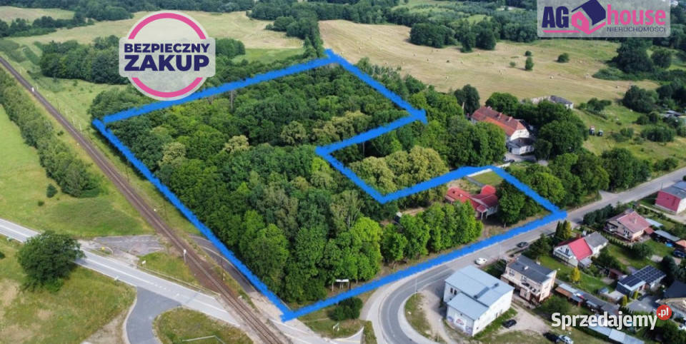 Działka 37569m2 Bożepole Wielkie inwestycyjna pomorskie