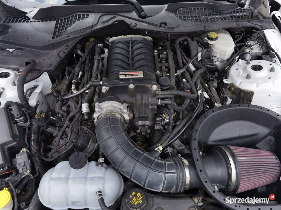 750 ROUSH Ford Performance 2019 Mustang GT 50 V8 Mustang lubelskie Tomaszów Lubelski
