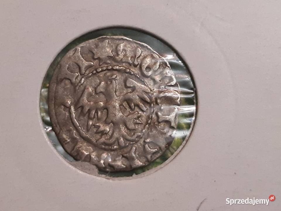 moneta srebrna polska półgrosz Jan I Olbracht Kolekcje Łomża