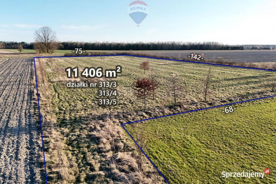 Ponad hektar przestrzeni 40 minut Warszawy Sprzedaż mazowieckie Korabiewice