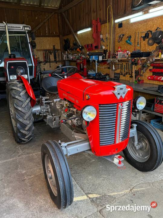 Ferguson 825 zarej mth 30 1960r Massey Ferguson Sieklówka