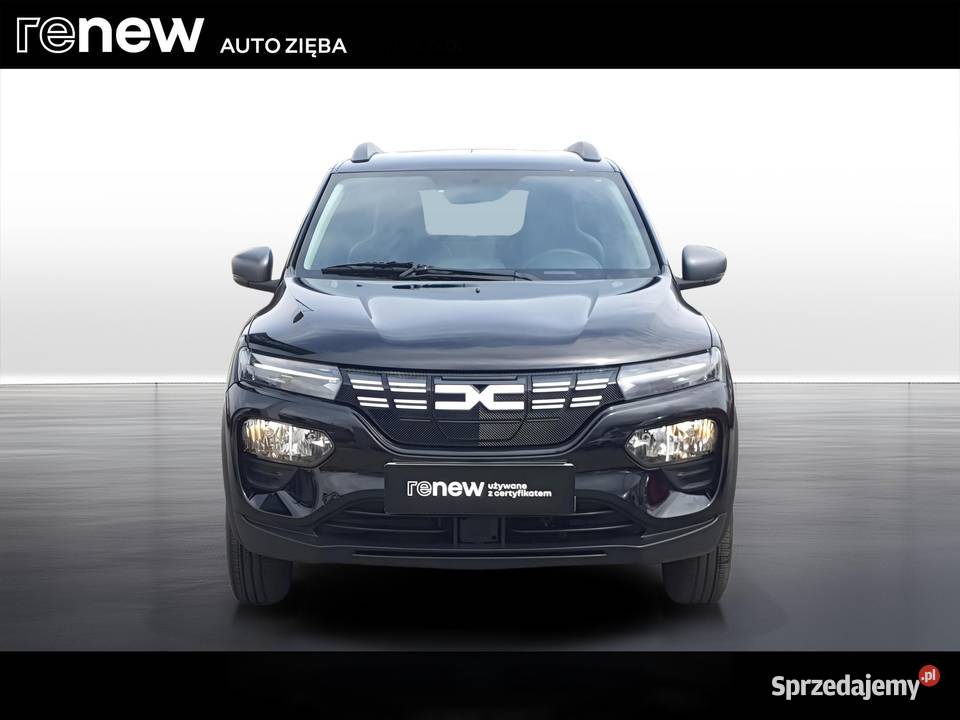 Spring 274kWh Expression Rok produkcji 2022