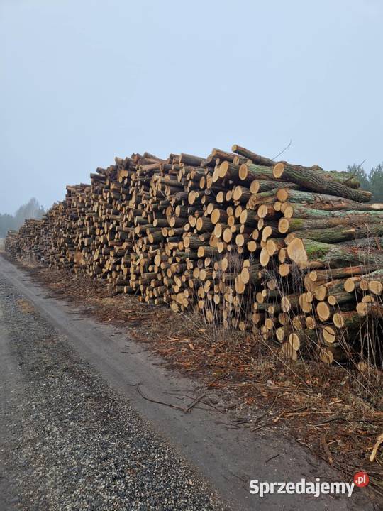 Drewno Opałowe Kominkowe mazowieckie Radom