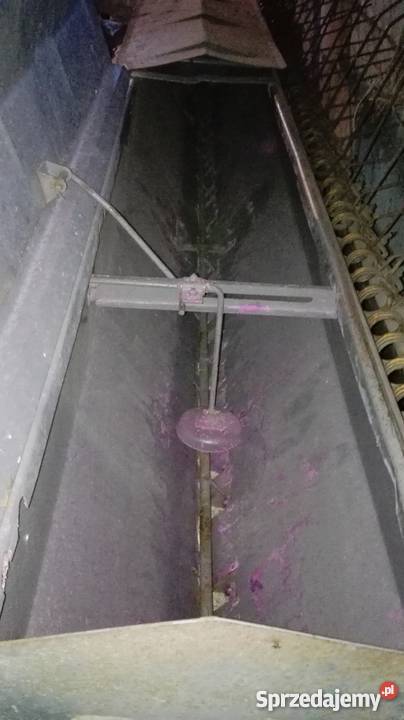 Poznaniak POM Augustów Kolonia Święte