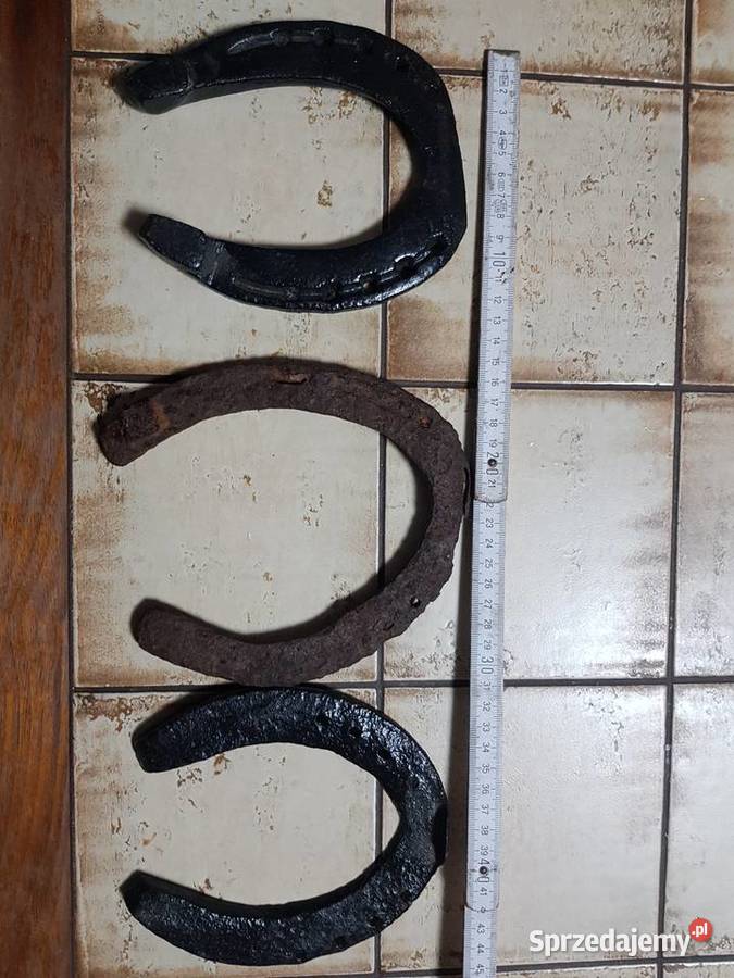 Pięknadużaoryginalna podkowa na szczęście zachodniopomorskie Barlinek