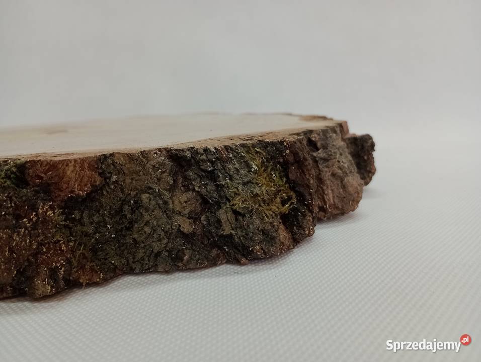 PLASTRY BRZOZOWE 3040 KRĄŻKI BROZOZWE PLASTRY Rękodzieło Żagań