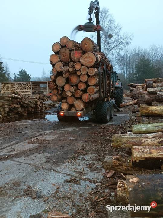 Różne rodzaje drewna opałowegokominkowego Piecki