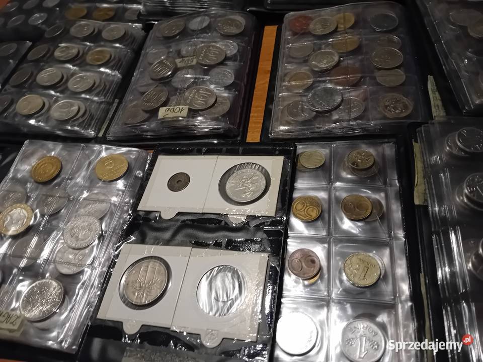 Albumy klasery z monetami 14 Kazimierza Wielka