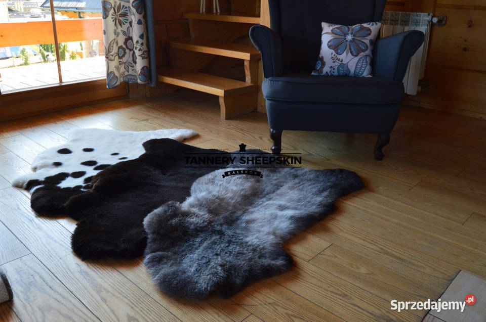 Skóry Owcze Krótki Włos Różne Kolory Skóra Owcza