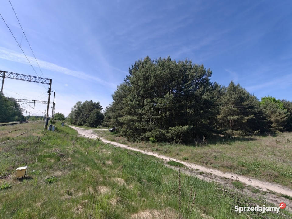 Michałów urokliwa działka budowlana 5500 m2