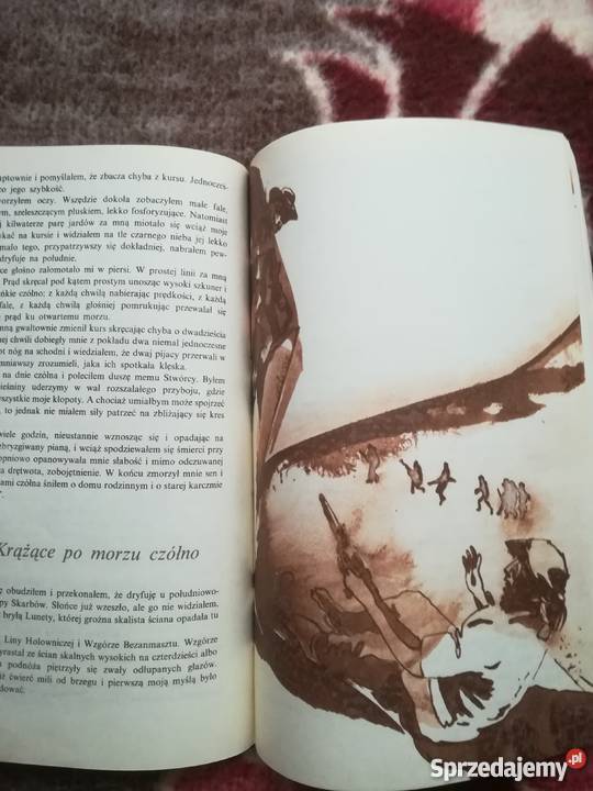 Wyspa Skarbów Robert L Stevenson Siedlce