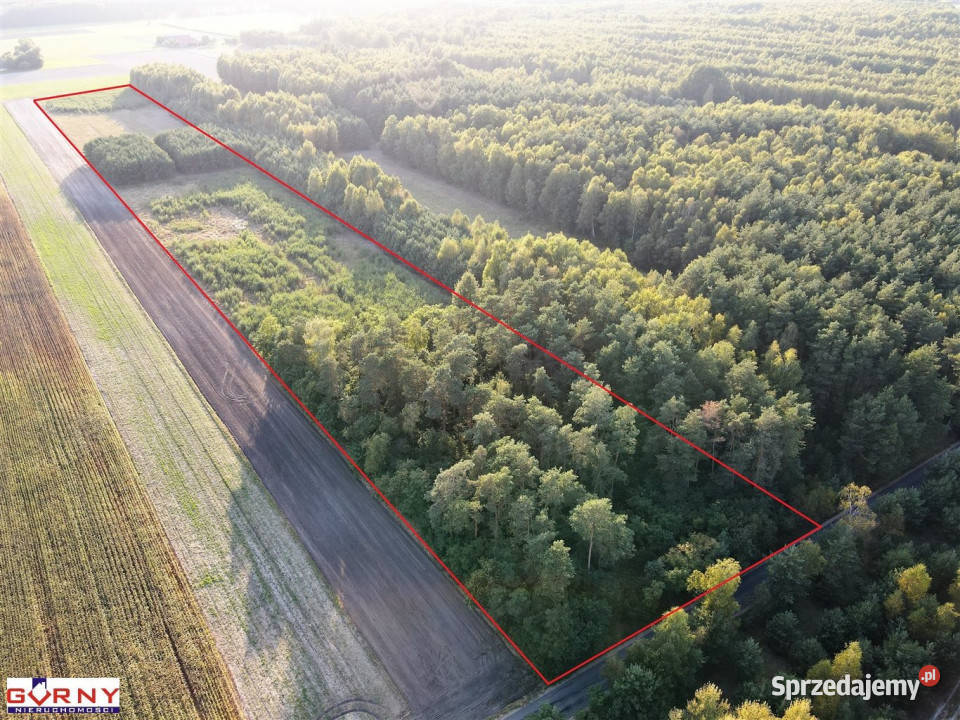 Grunt 29700m2 Mąkolice sprzedam