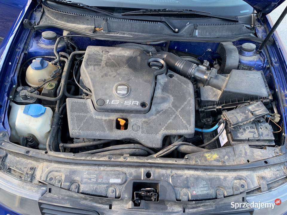 Seat Leon 1 16 benzyna immobilizer Bystrzyca Kłodzka