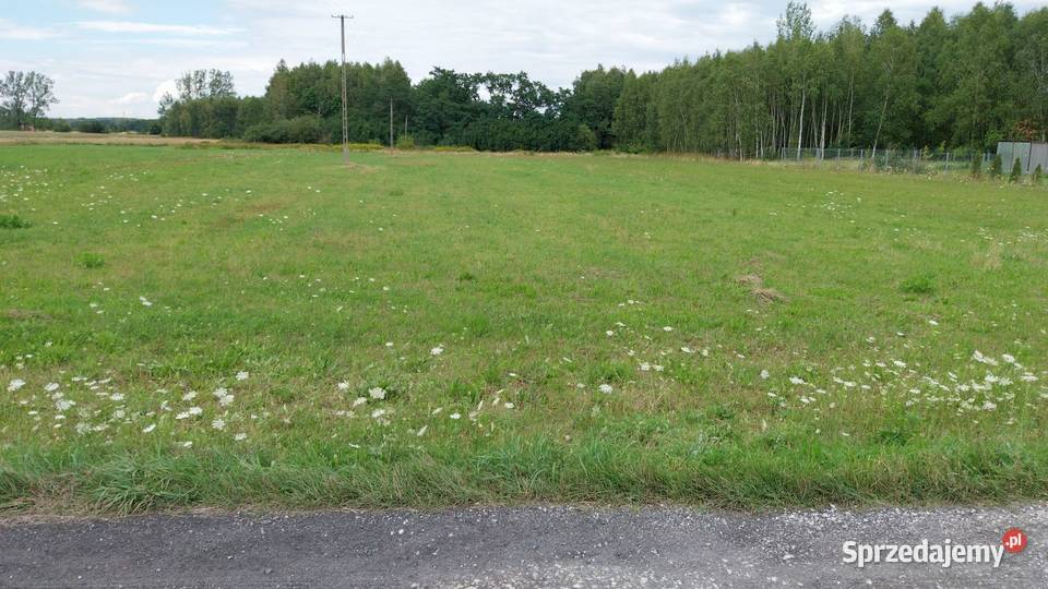 4 działki budowlane o pow 27473667 m2 Wygiełzów sprzedam