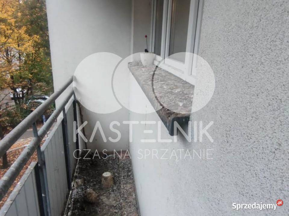 Sprzątanie gołębiach Skierniewice Kastelnik