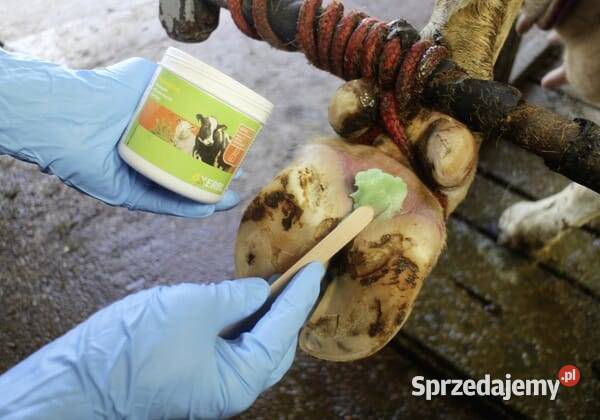 Pasta do kopyt Podoseptan 20 450 ml 16363 Pozostałe Kamionna