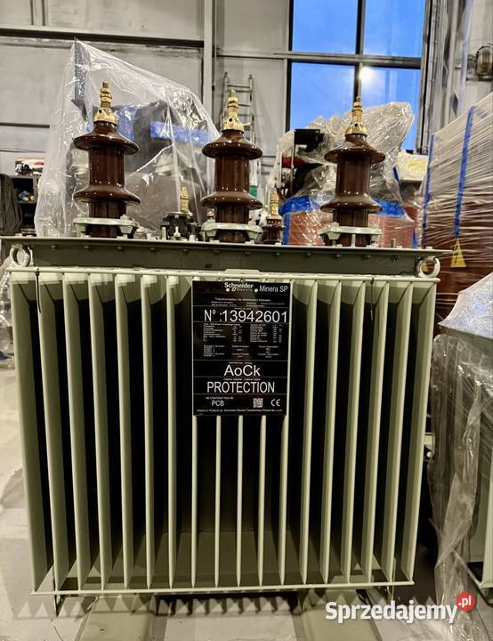 Transformator Schneider Electric 100 kVA 2004 kV Ostrów Wielkopolski sprzedam