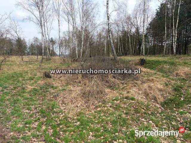 Sprzedam działka 10182m2 Wodzisław Śląski 10182m2