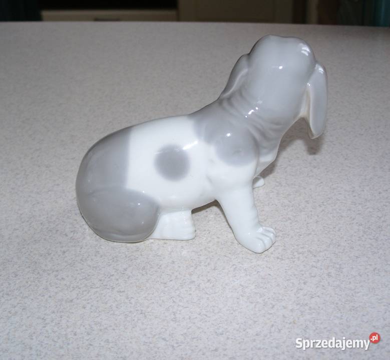 pies piesek porcelana podkarpackie Rzeszów