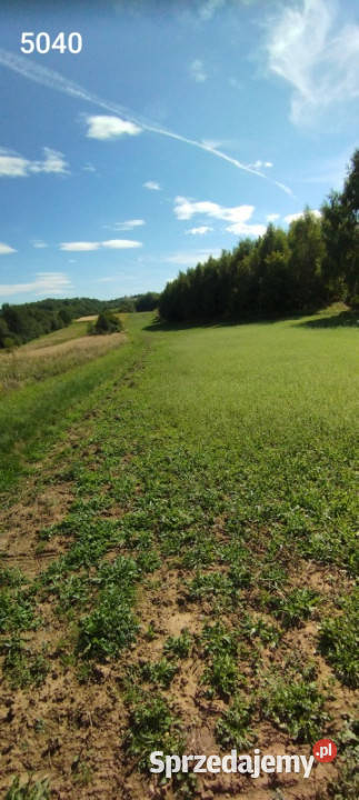 2 działki 147ha łącznie na obrzeżach Rzeszowa podkarpackie Rzeszów