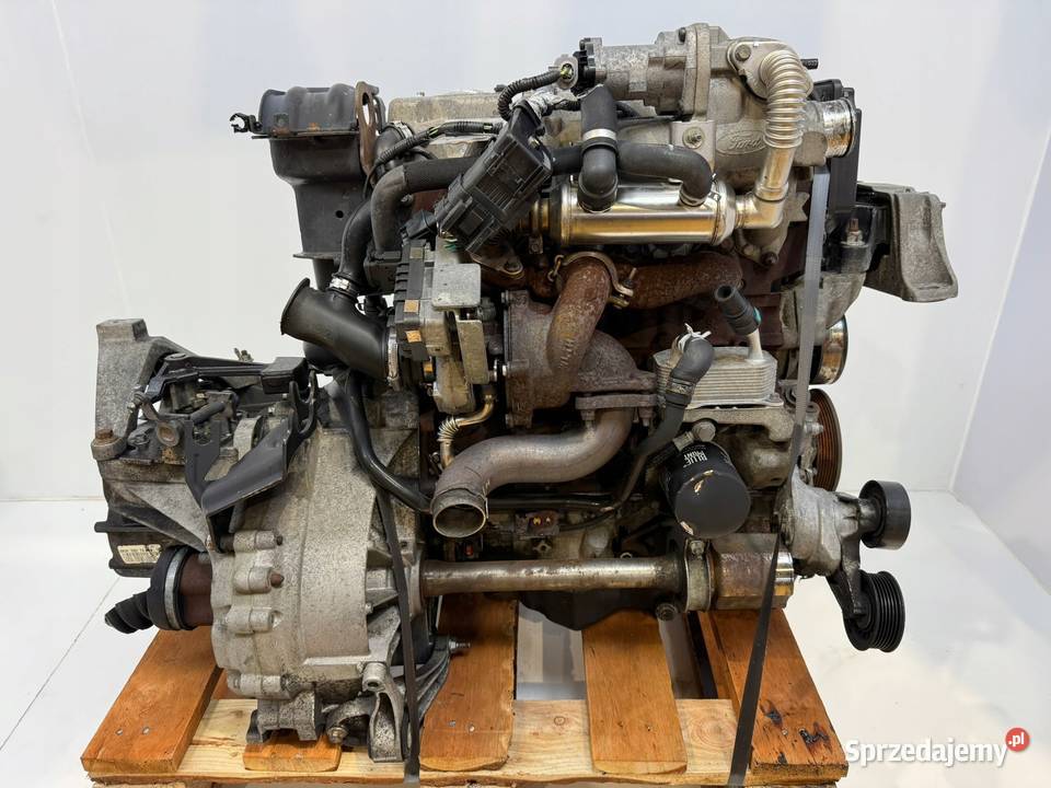 SILNIK KKDA Ford C C Focus II MK2 18 TDCI 115 Silniki kompletne Chełm