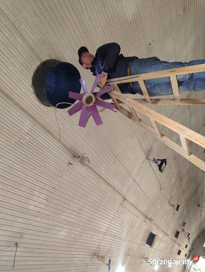 Sprzedam wyposażenie hali do produkcji brojlera Hodowla drobiu Goląsza Dolna