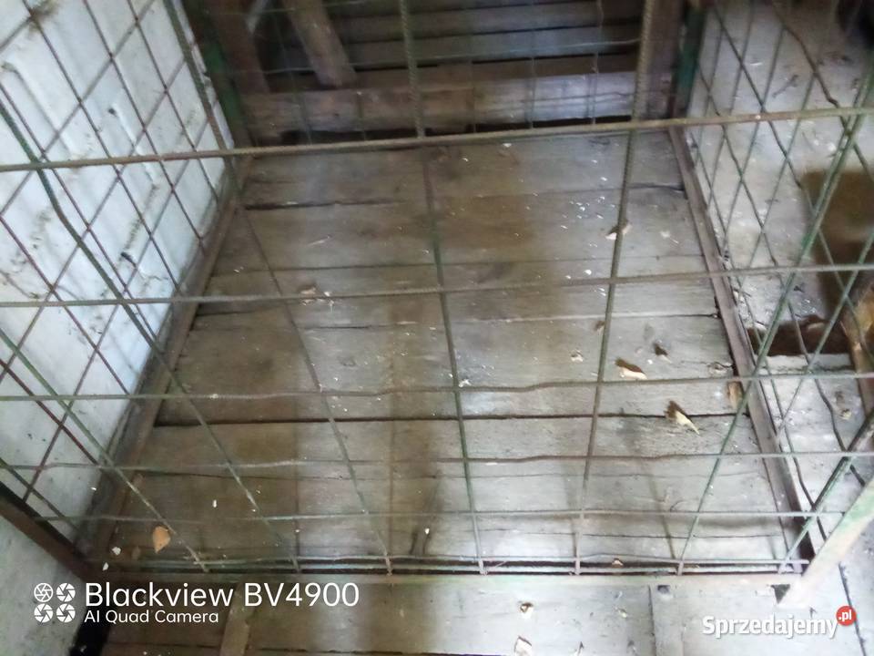Skrzynie Skrzyniopalety Kosze Rolnictwo małopolskie Proszowice