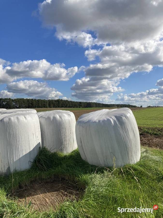 Sianokiszonka Doruchów sprzedam