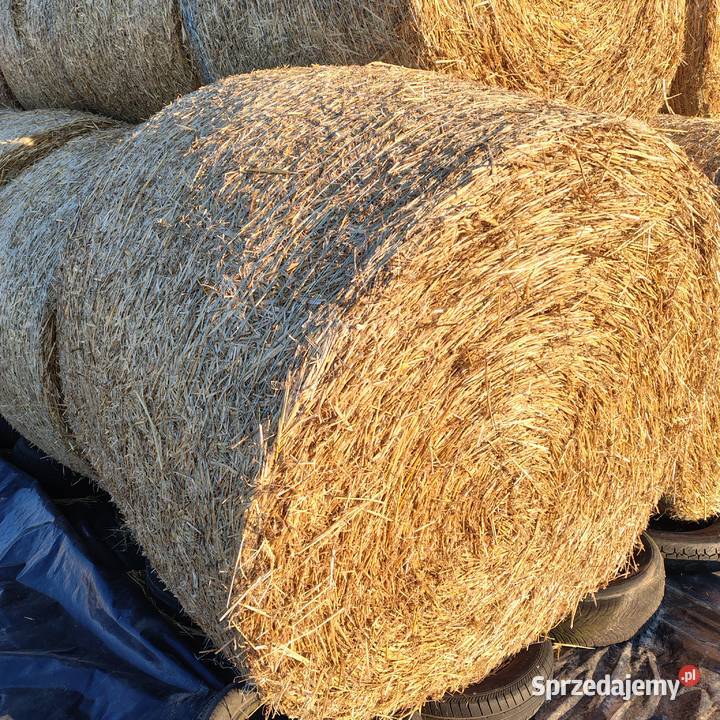 Słoma 150x120 lubelskie Przybysławice sprzedam