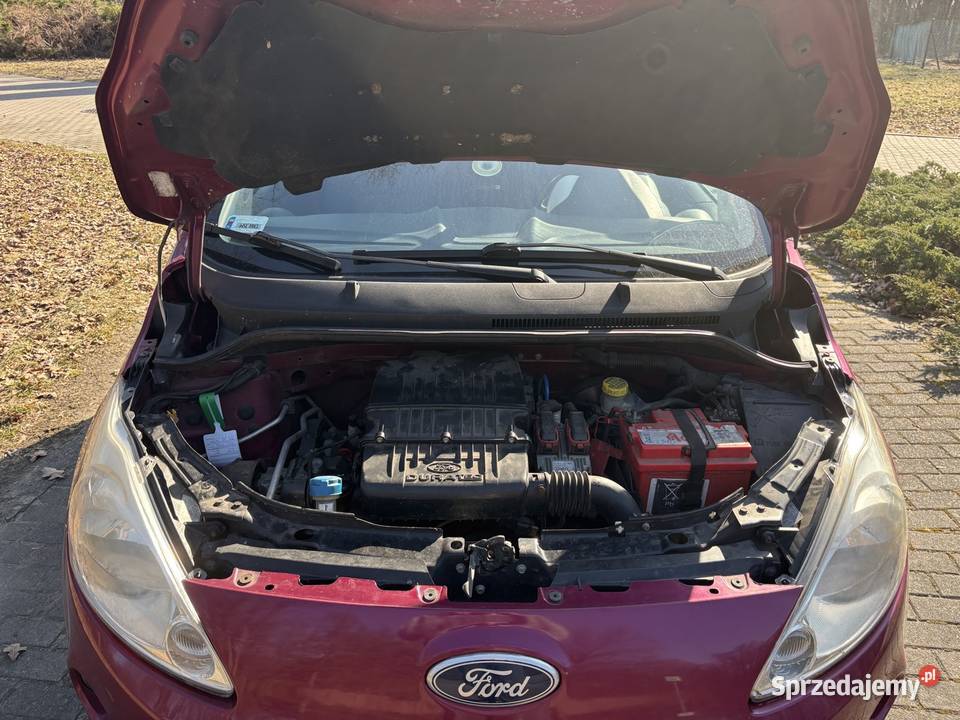 Ford Ka Nowe Gnatowice