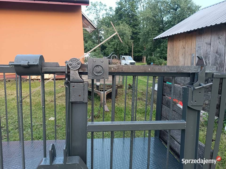 Waga inwentarzowa bydło Myscowa