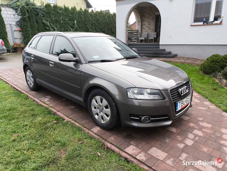 19 TDI 105 Diesel Nawigacja Klimatyzacja radio świętokrzyskie Pińczów