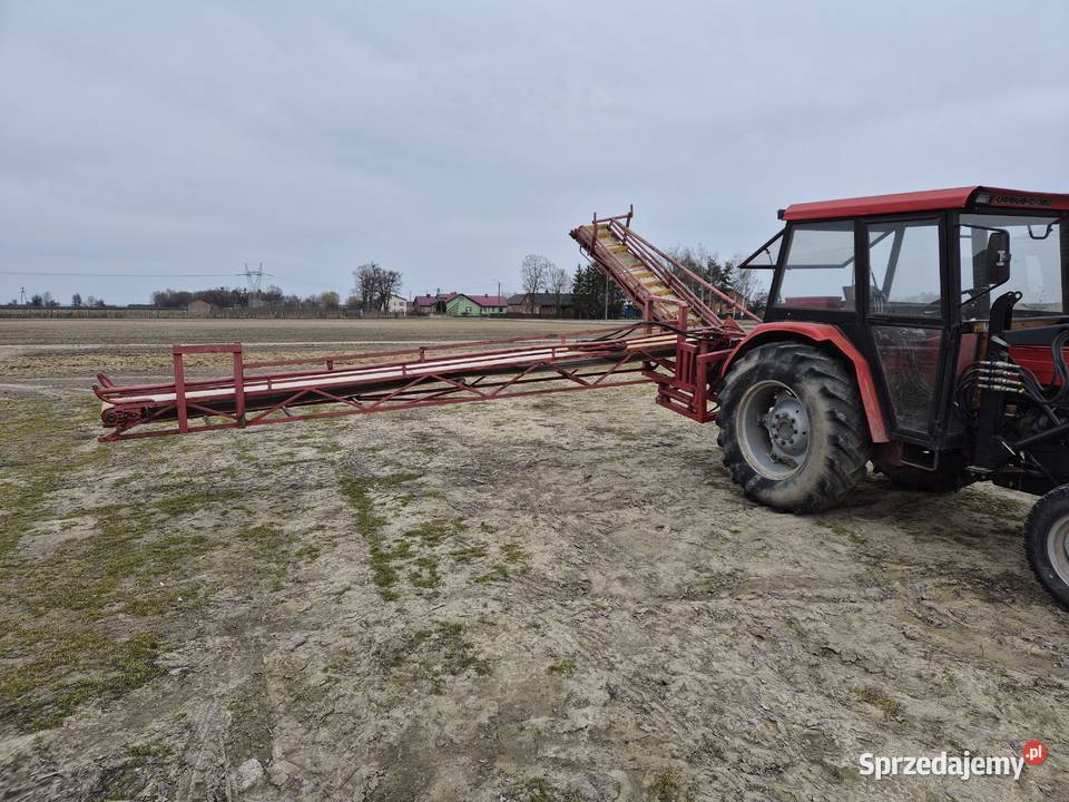 Podajnik Taśmociąg do Zbioru Warzyw Taśmociągi i podajniki mazowieckie Brzozów Stary