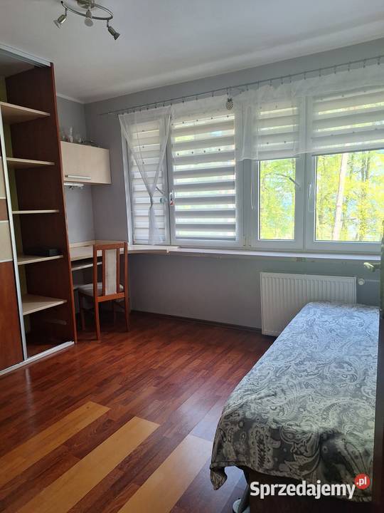 Syndyk sprzeda lokal mieszkalny w Gdyni Babie pomorskie Gdynia