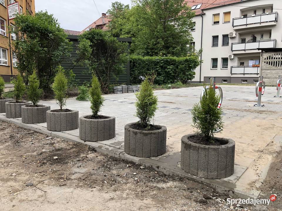 Miejsce parkingowe postojowe parking Bytom