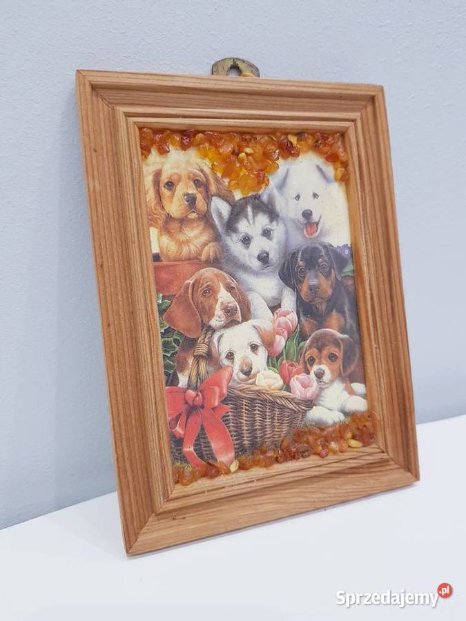 Ozdobny obrazek z bursztynkami Dąbrowa Górnicza